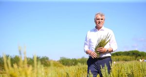 Sakarya ‘Dünya Tarım Şehri’ oluyor