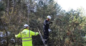 SEDAŞ Bolu ve Düzce’de yoğun kar yağışı ile mücadele etti