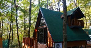 İl Ormanı’nda bungalov tatiline Büyükşehir güvencesi