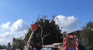 SEDAŞ, Düzce Çilimli İlçesindeki aydınlatma çalışmalarını sürdürüyor