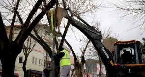 Karaağaç Bulvarı’nda rekreasyon çalışması