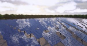 Sakarya doğanın gücünden maksimum fayda sağlayacak