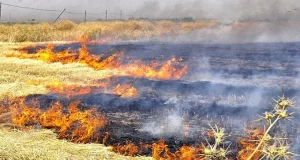 HAK ve Huzur Partisi Genel Başkan Yardımcısı Hanifi YOLCU“Yaralar bir an evvel sarılmalıdır.”