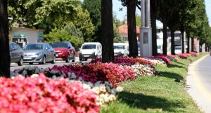 Şehrin en işlek caddeleri Büyükşehir’in dokunuşuyla çiçek bahçesine dönüşüyor