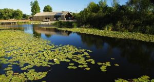 Yusuf Alemdar” Acarlar Longozu’nda”