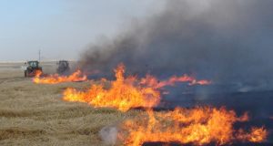 HAK VE HUZUR Partisi Genel Başkan Yardımcısı Hanifi YOLCU Diyarbakır ve Mardin’deki yangın faciası ve sonrasında yaşanan gelişmelere dair Açıklamalarda bulundu