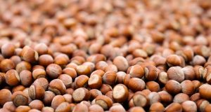 FERRERO, SÜRDÜRÜLEBİLİR FINDIK İÇİN KAYDETTİĞİ GÜÇLÜ İLERLEMEYİ VE YENİ DÖNEM HEDEFLERİNİ AÇIKLADI