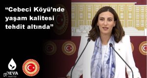 DEVA Partili Rızvanoğlu, tarihi Cebeci Köyü’ndeki taş ocaklarının neden olduğu çevre sorunlarını Meclise taşıdı