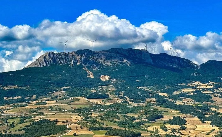 Tarımın, doğanın ve yerel yaşamın korunması gözardı ediliyor
