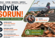 Farkındalık Çağrısı: Sorun Sadece Kocaali ile Sınırlı mı?