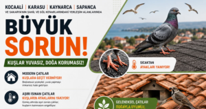 Farkındalık Çağrısı: Sorun Sadece Kocaali ile Sınırlı mı?